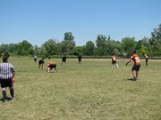 OTFL Gallery Image